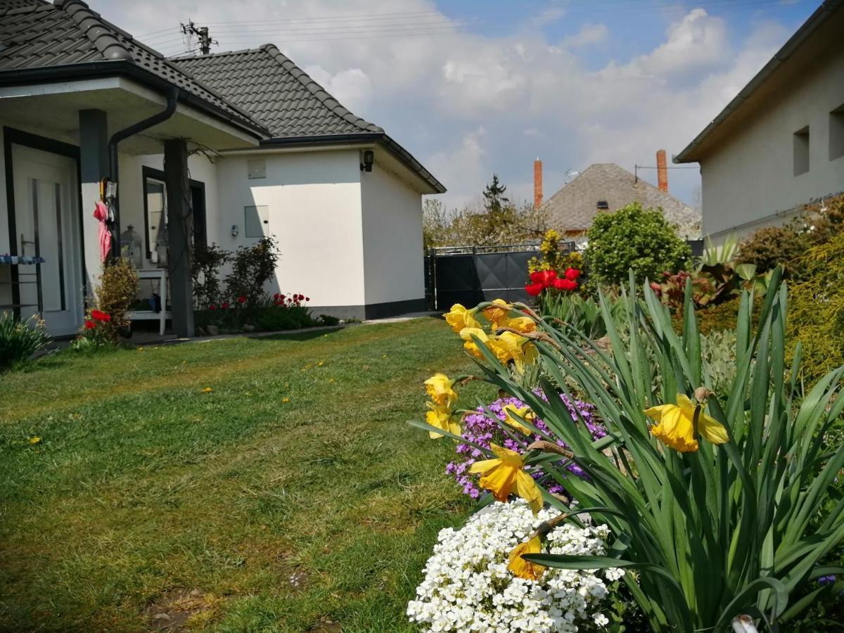 Big Garden House Holiday home *