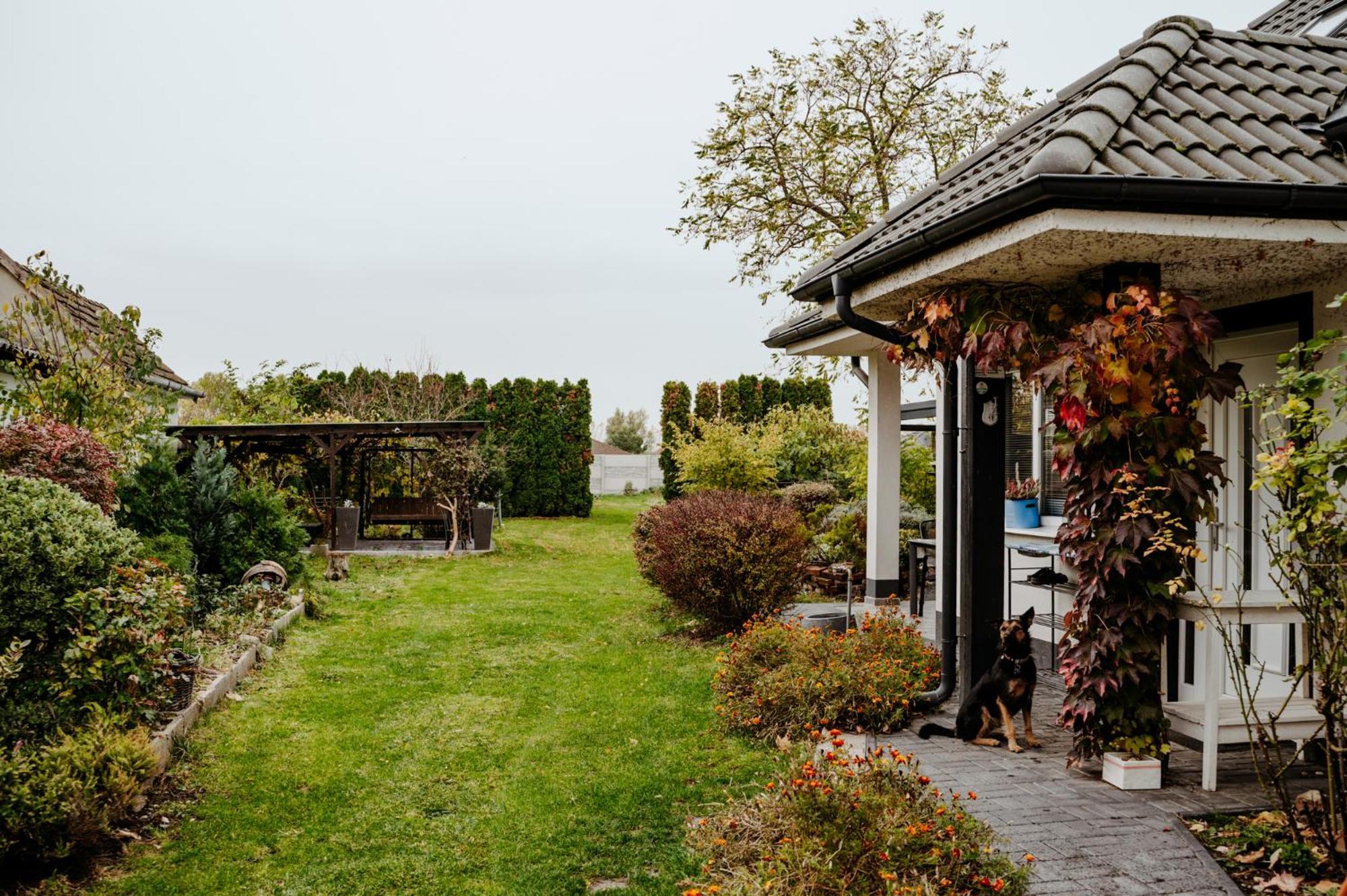 Big Garden House *
